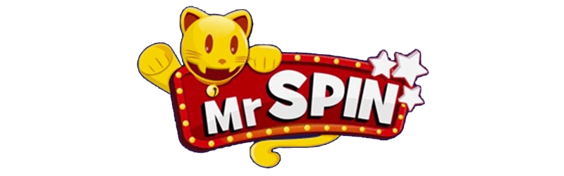 Mr Spin