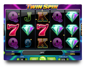 Twin Spin Slots