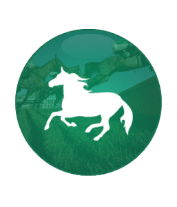 Horse betting sites